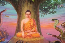 印度人为什么不信佛教