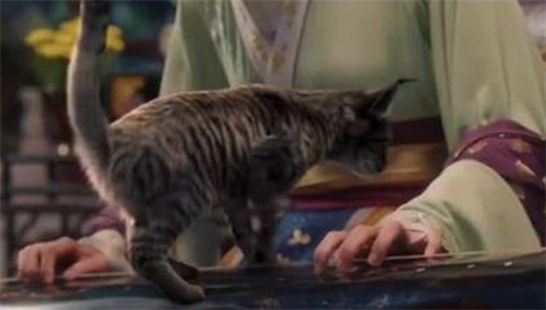 狸猫换太子是谁设计的