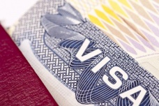 荷兰的官方语言是什么