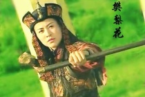 樊梨花挂帅讲了什么故事