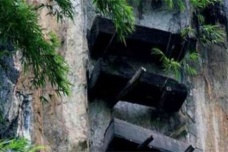 悬棺的棺木为何能千年不朽