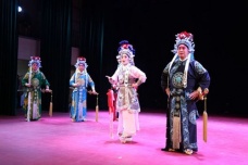 豫剧唱腔的艺术特点