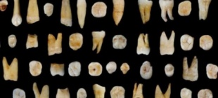 2015年10月15日：中科院在湖南道县发现迄今最早现代人类化石