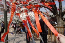 天贶节的习俗活动