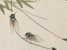 《蝉》