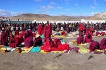 拉白节有什么活动