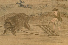 康乾时期的农业经济