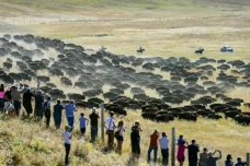 南达科他州在美国哪里