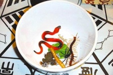 蛊的种类及作用