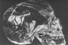 水晶头骨之谜到底是怎么回事