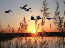 《秋风辞》鉴赏点评