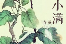 关于小满的诗词