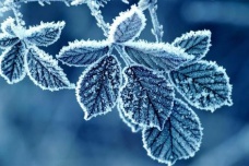 霜降节气应该怎么养生