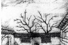 散文诗集《野草》简介