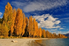 瓦纳卡湖在哪个国家