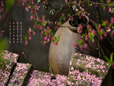 唐伯虎文学上的成就