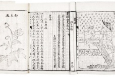 《农政全书》：农业科学遗产总汇