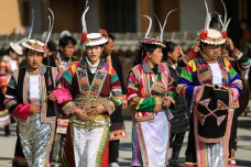 白马藏族有自己的语言吗