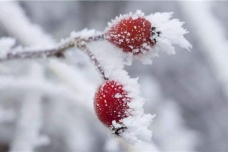 霜降节气应该注意什么