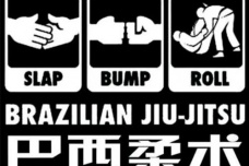 巴西柔术有什么特点