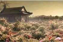 圆明园大量仿建了什么建筑