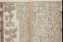 《图经本草》的历史地位
