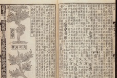 《图经本草》的历史地位