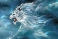 西方七宿分别是什么