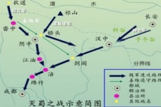 魏灭蜀之战经过