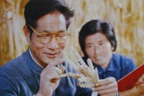 农业科学家赵仲修生平简介