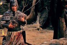 刘备托孤召见赵云说了什么秘密