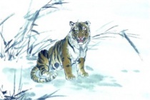 虎的生肖神话与民俗