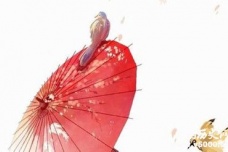 李清照《如梦令》赏析