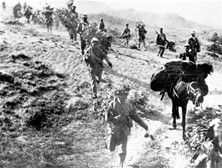 解放战争全面爆发