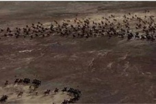 萨尔浒之战明朝为什么败得这么惨