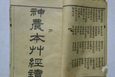 《神农本草经》简介