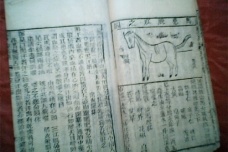 中兽医学成熟标志：《元亨疗马集》