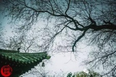 《过晋阳故城书事》诗词赏析