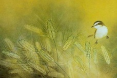 关于芒种的诗词