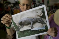 卓柏卡布拉的传闻解释