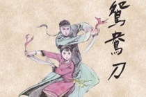 金庸《鸳鸯刀》简介