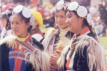 纳西族的名称由来