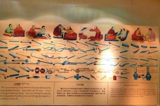 藏医的发展历史