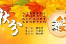 秋分节气的养生方法