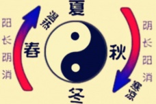 阴阳消长的形式