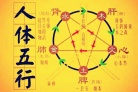 五行在生理方面的应用