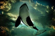 《庄子·杂篇·庚桑楚》原文