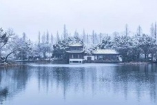 纳兰性德《临江仙·寒柳》赏析