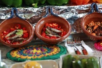 墨西哥为什么被称为食虫国