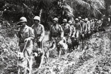 斯大林格勒保卫战希特勒第6军团覆灭